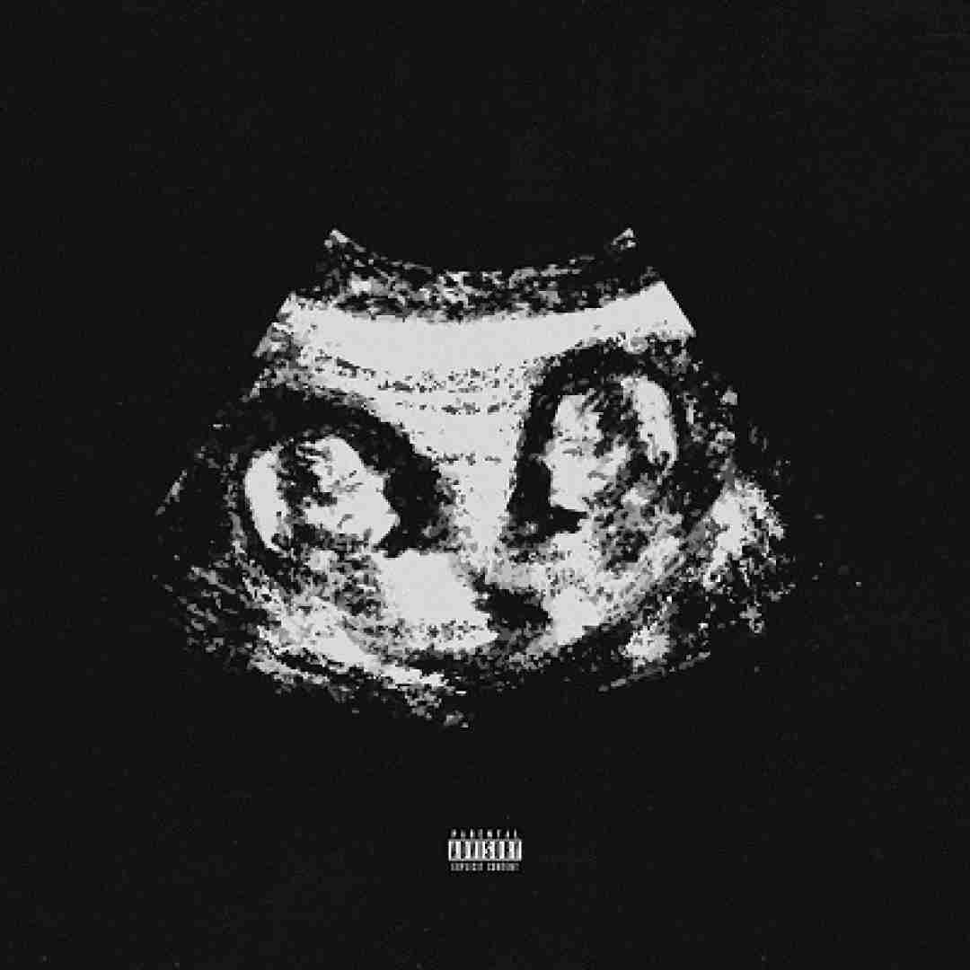 دانلود آهنگ Twin Brother (توین برادر) سینازا و نیکران