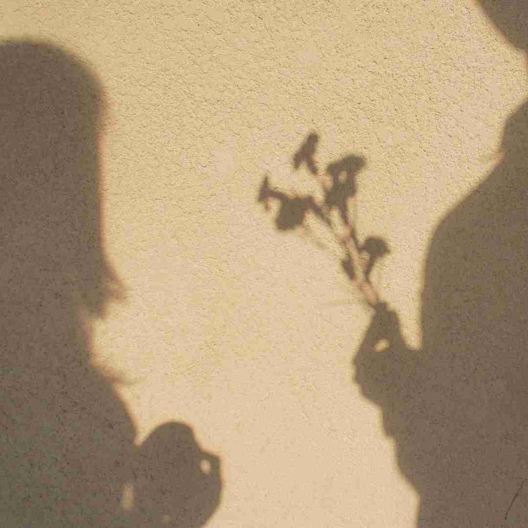 دانلود آهنگ دلمو دادم بش رفت هر جا میرم تو این شهر خاطره ش هست 