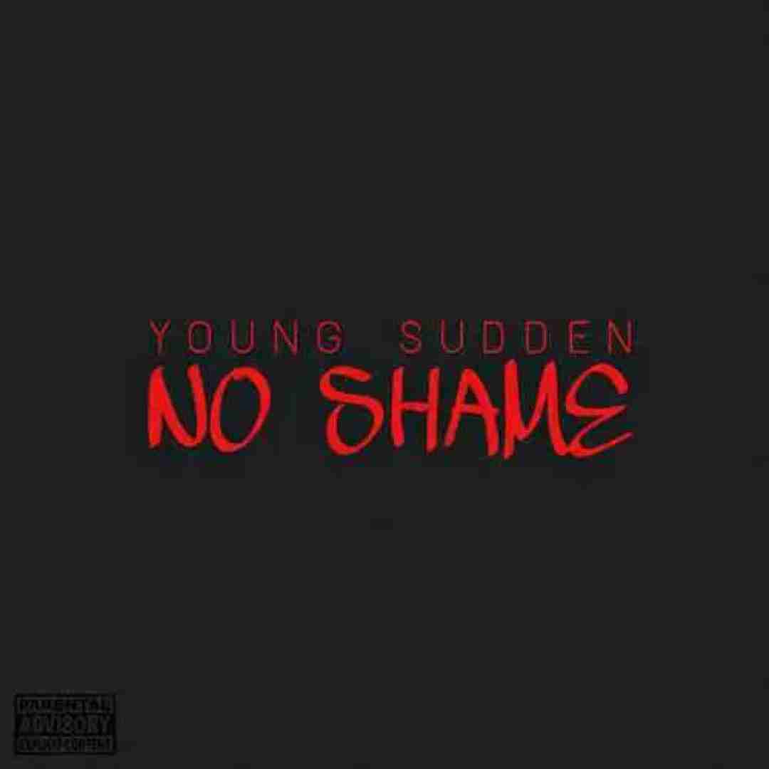 دانلود آهنگ نو شیم یانگ صادن