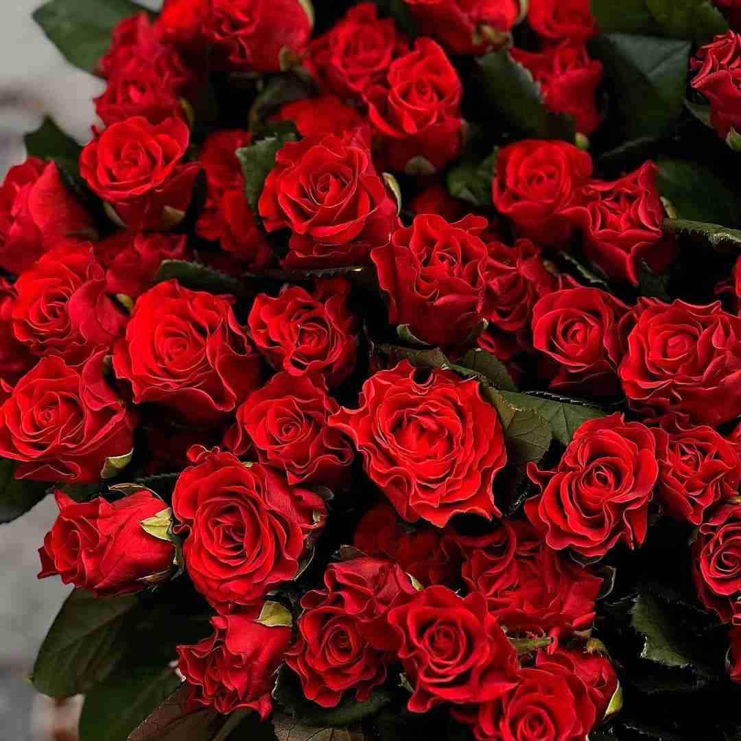 دانلود آهنگ یه خمارم که ندارم متاع زمانم حتی ندارم درارم ادا مهیار سزاوار