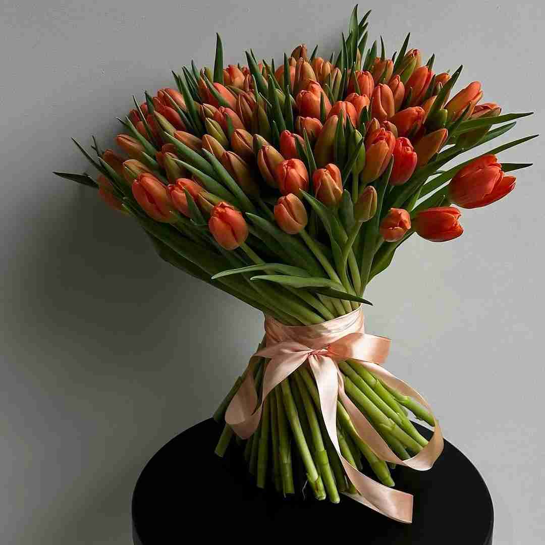 دانلود آهنگ در رفتین از دستم همتون حرفام نمیرفت تو کتتون حسن