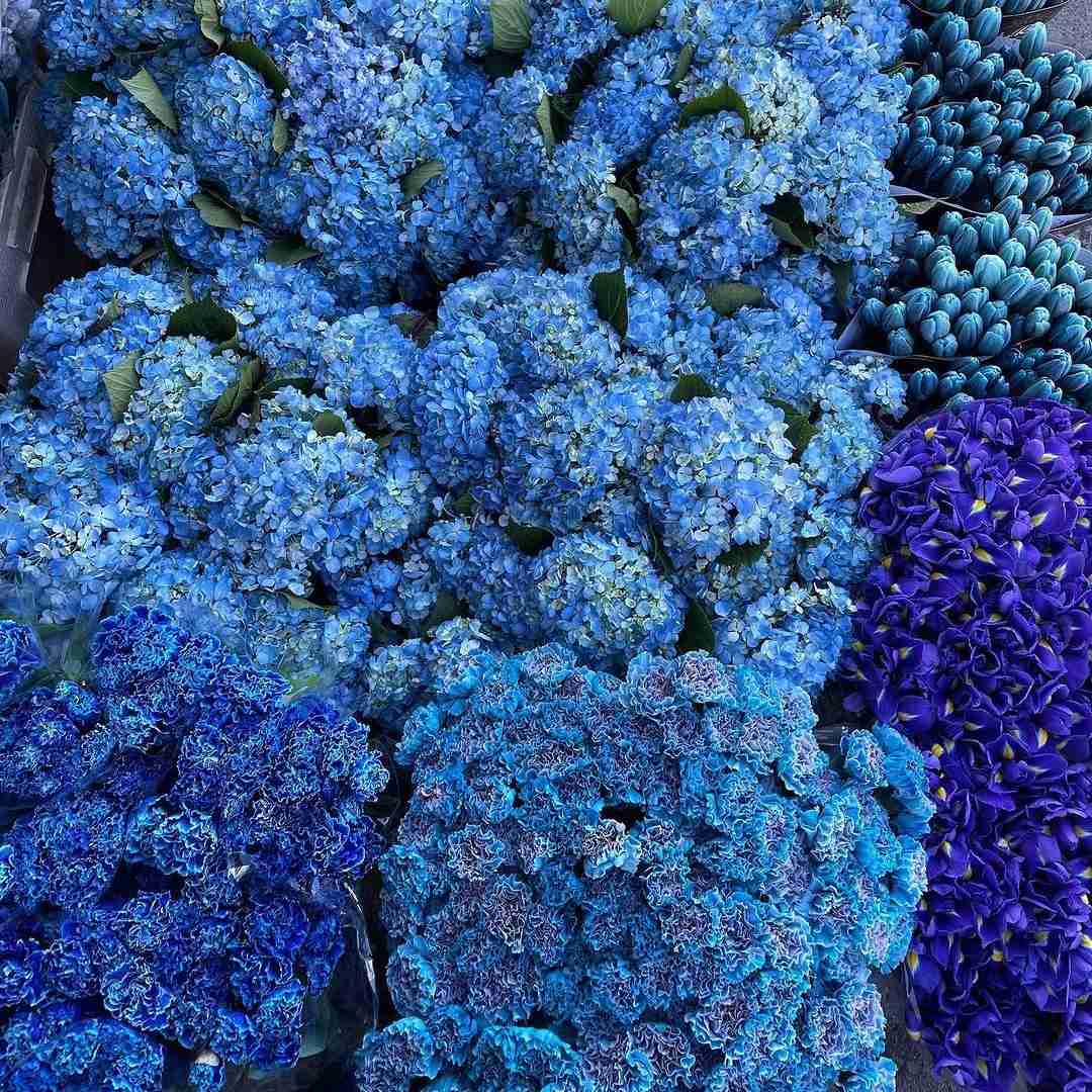 دانلود آهنگ بزن قید همه چیو من که دیگه کل روزا واسم شبه بی تو سایه