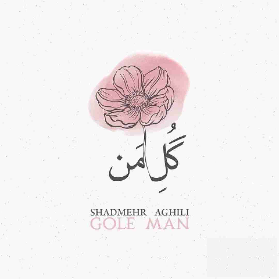 دانلود آهنگ گل من شادمهر عقیلی