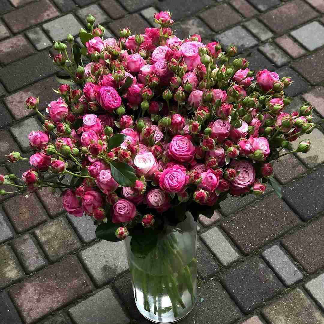 دانلود آهنگ اگه بریدمو از اول وصله زدمش اگه نگاه کردم بقیه مفت خریدنش رهجو و مقصود