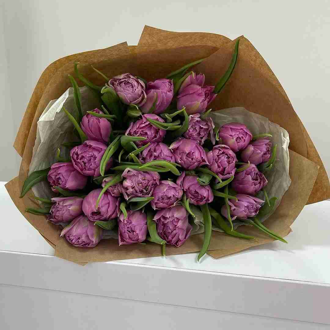 دانلود آهنگ یکی از رفیقا میزنه جیغ پرش ریخت فرزاد مطلق