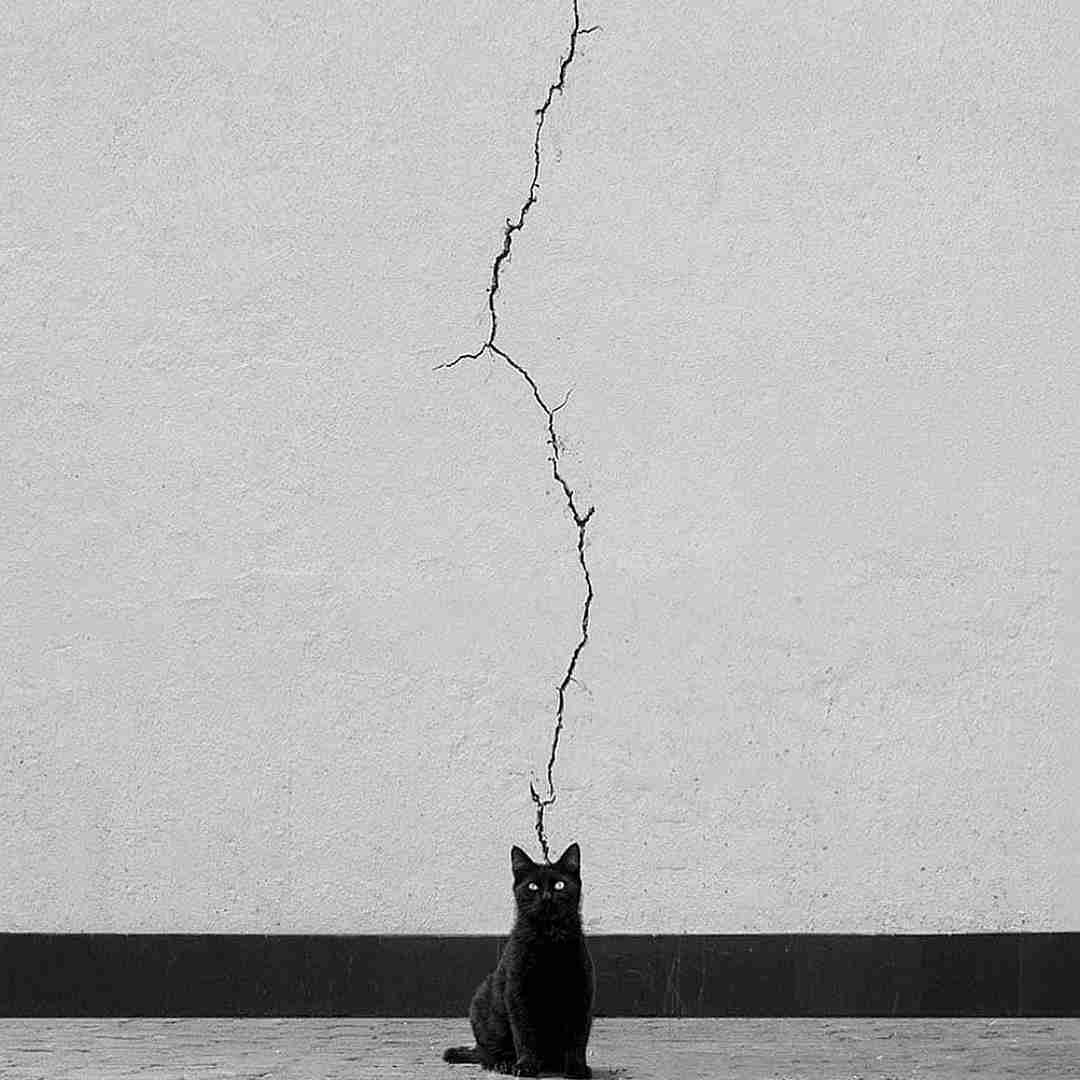 دانلود آهنگ بیا دس بگیر قلبی که دادمو بیا ببین تو دام عشق من افتادمو 