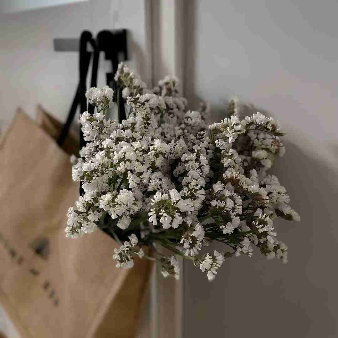 دانلود آهنگ میخوریم یکی درمیون تلو افتادیم همه رو کاناپه ولو 