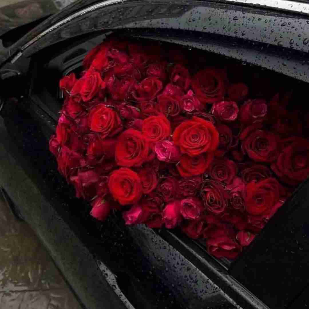 دانلود آهنگ  بهت پیله کردم نمی مونی پیشم میمیرم اینجا شادمهر عقیلی 