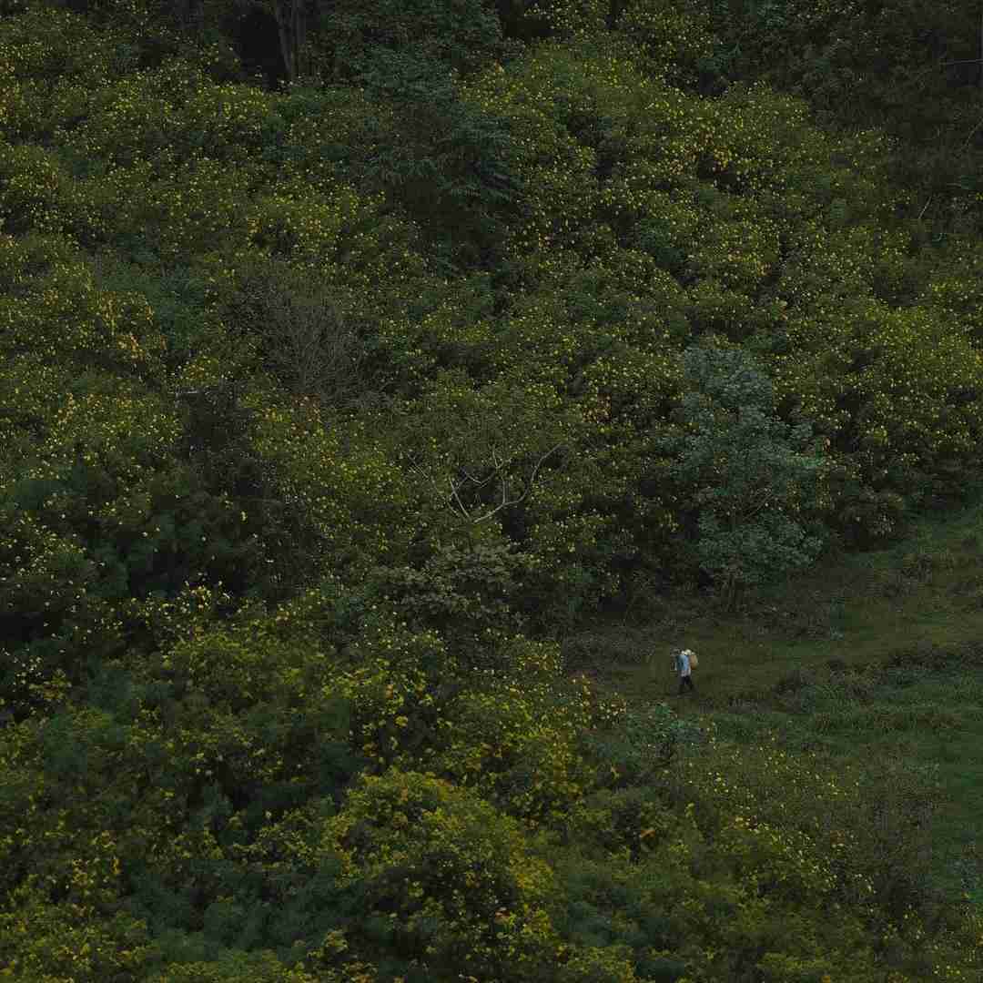 دانلود آهنگ اکسو بزن بشی قفل من حرفاتو بزار برا بعد 