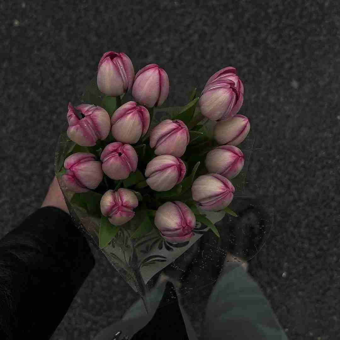 دانلود آهنگ ایران من چیزی به جز یه ویرانه سرا نیست سائرون