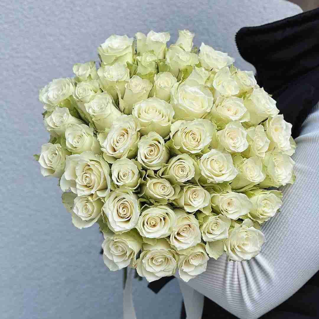 دانلود آهنگ یه سپر دورم ساختم مثل چهار دیواری تا نباشه بغلم هر لاابالی رانپ