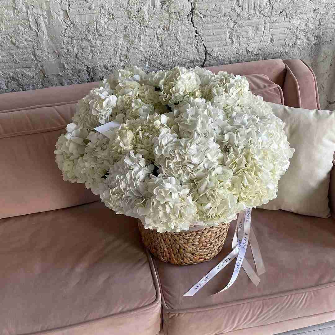 دانلود آهنگ اینجا همه خل چلیم پیکا رو برو بریم فرزاد مطلق