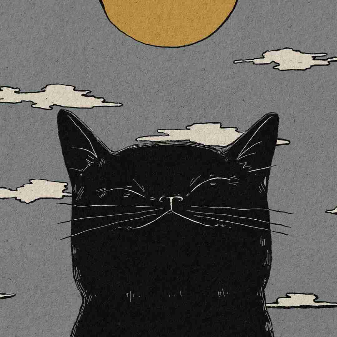 دانلود آهنگ هی آقا ببخشید میشه مال من شی