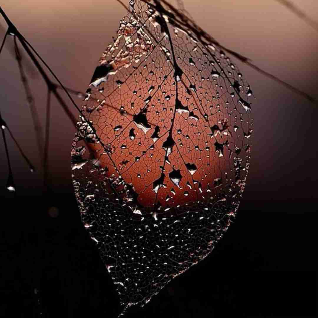 دانلود آهنگ من یه شیطانم شبیه من کسی نی