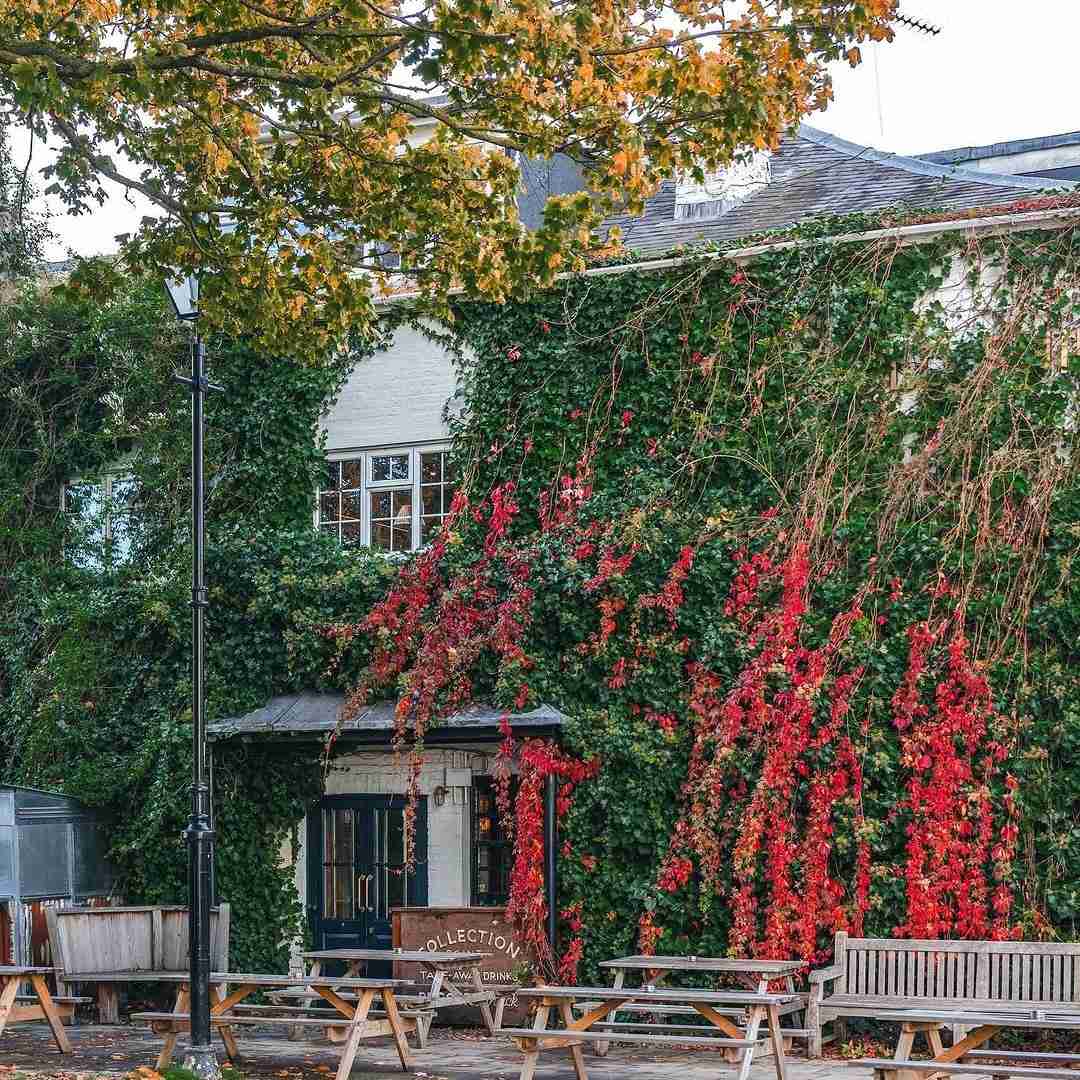 دانلود آهنگ دوس دارم بی میکس کارو پخش کنم ول کنم اینستا رو سگ خورد