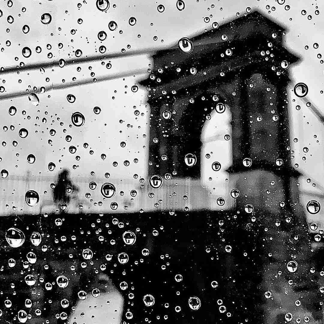 دانلود آهنگ تف میکنم رو صورتش چون زیاد زل زد تو صورتم