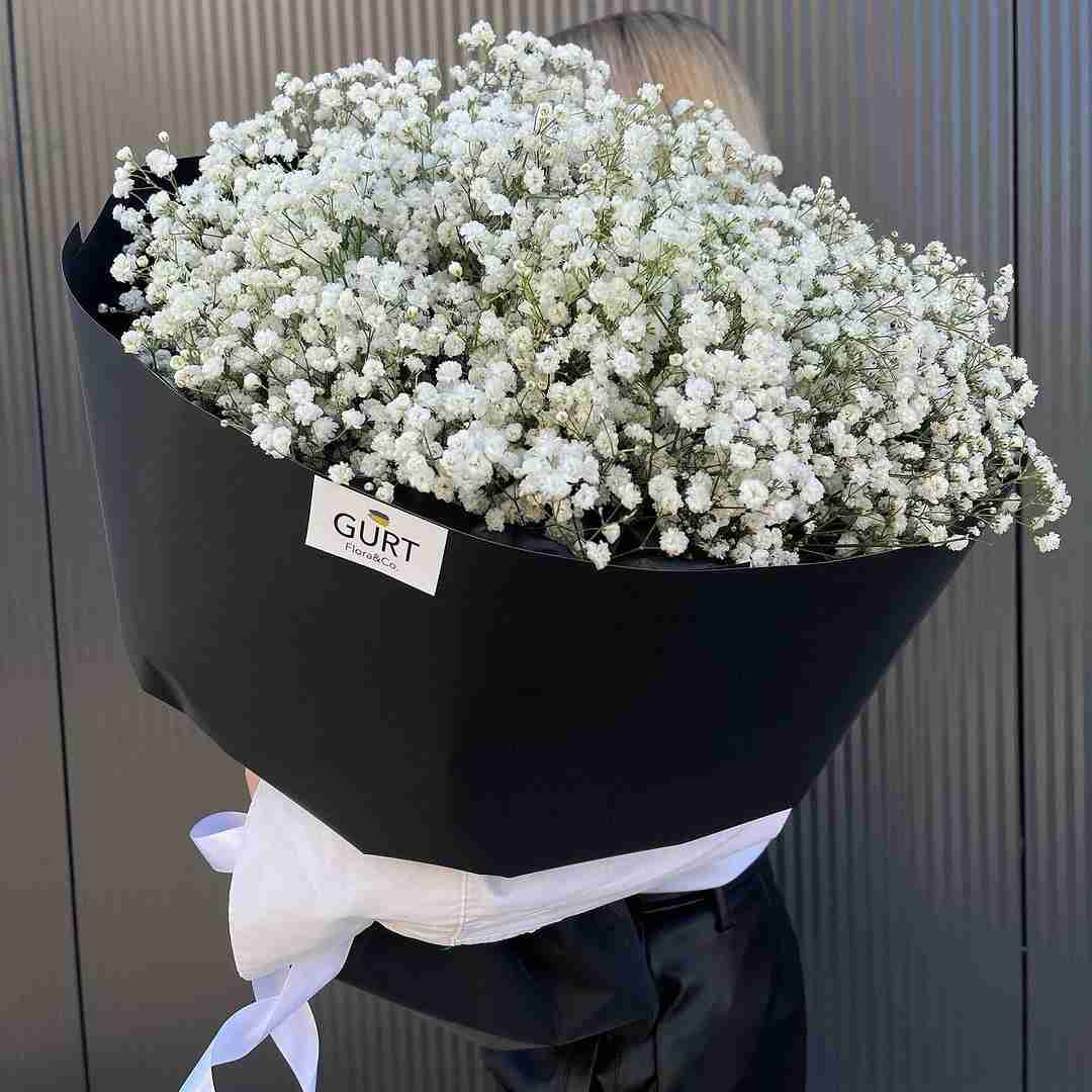 دانلود آهنگ زنده ام من از روی عوارض دارو هام یه روانی بی اصولم یا یه نادون مهیار سزاوار