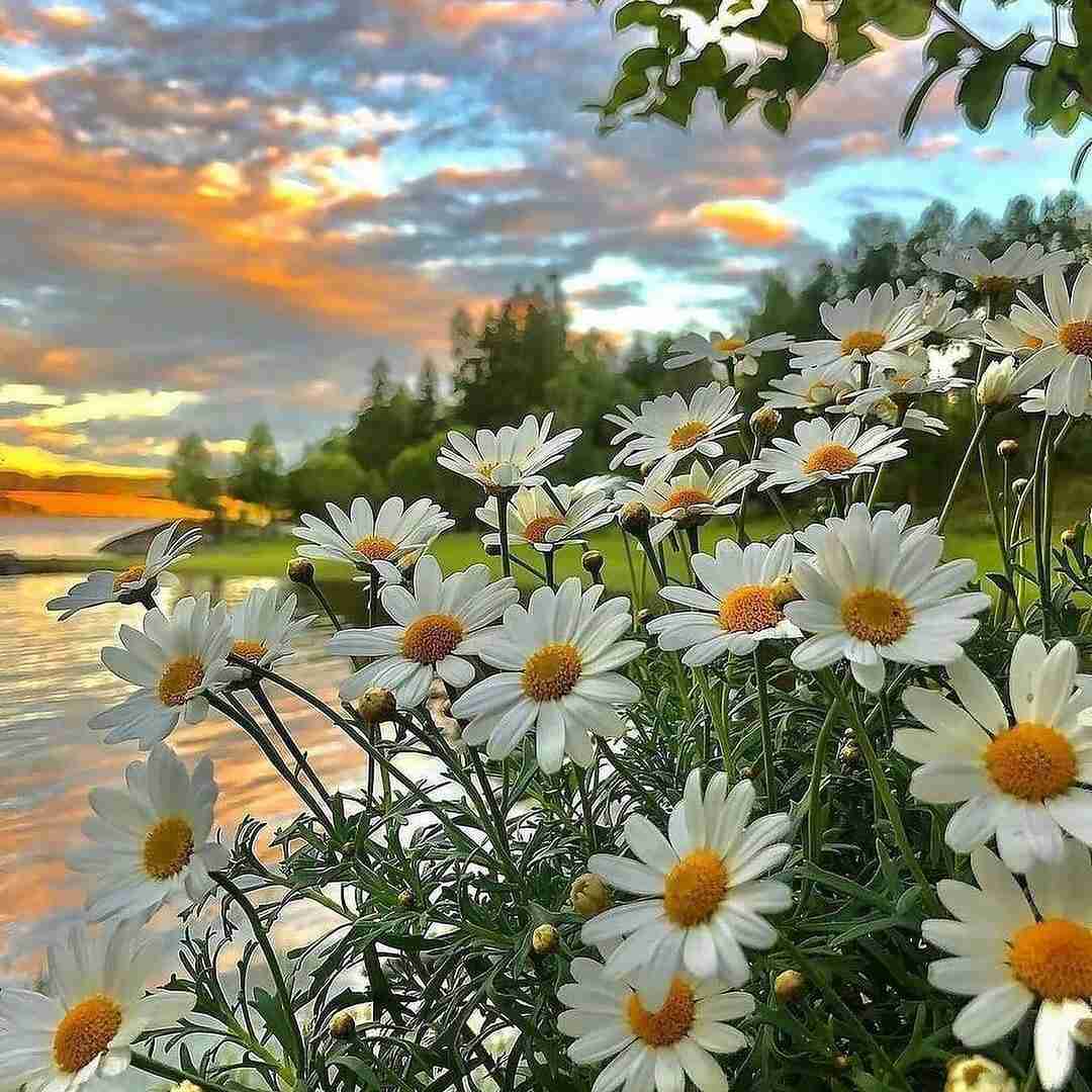 دانلود آهنگ پاشو مثل مرد رو پاتو داد بزن همه اینا تقصیر منه اره تقصیر منه رهجو و مقصود