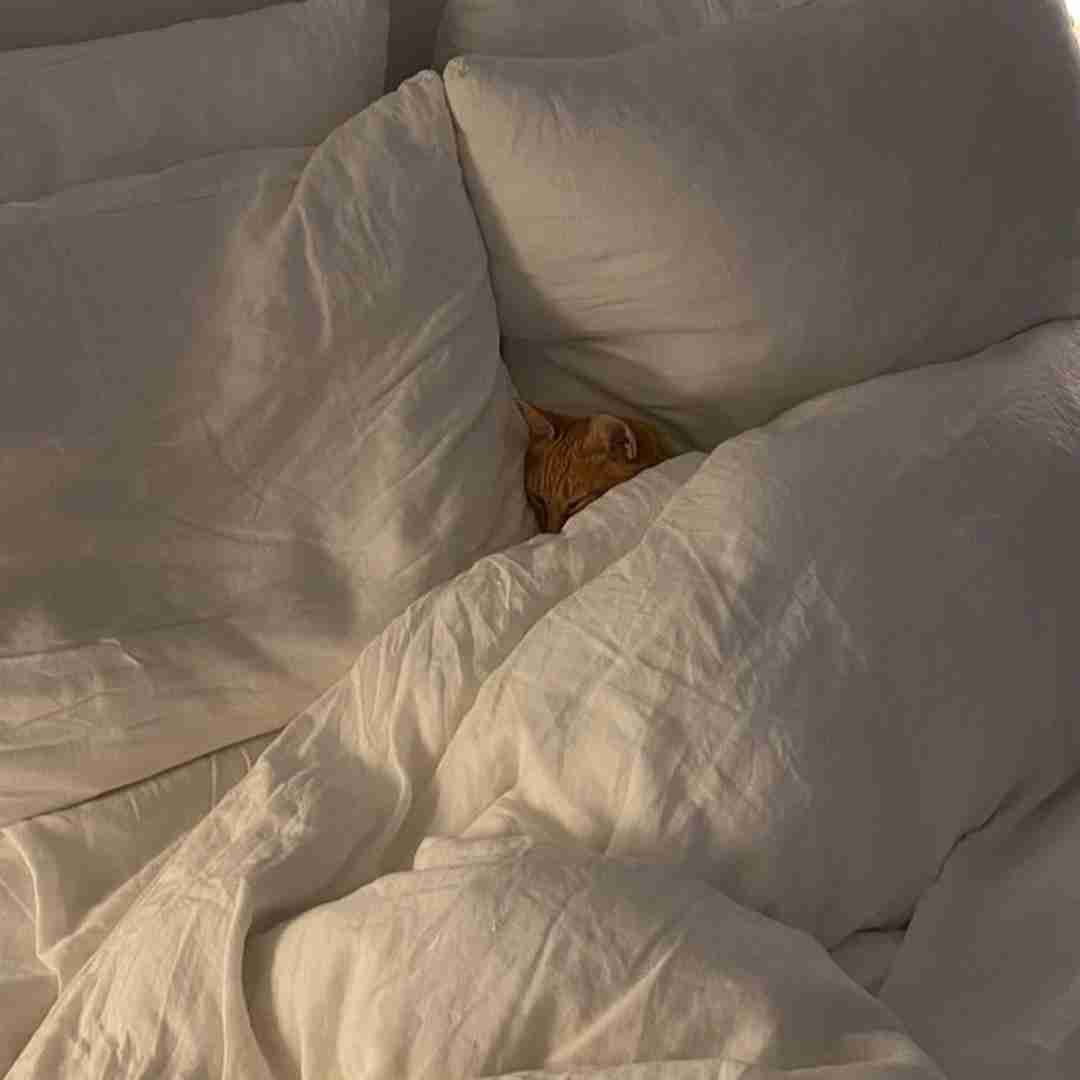 دانلود آهنگ آسمون به اون گپی از خواننده زن خارجی