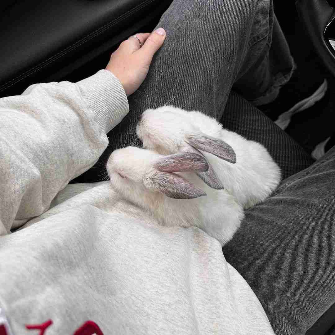 دانلود آهنگ وصلم بهت اگه بری دوستت دارم مگه غریبه ای 