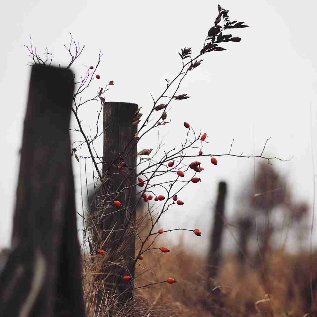 دانلود آهنگ چابلا سیس سیندرلا برونزه نوتلا تورو میخوام الا بلا تهی