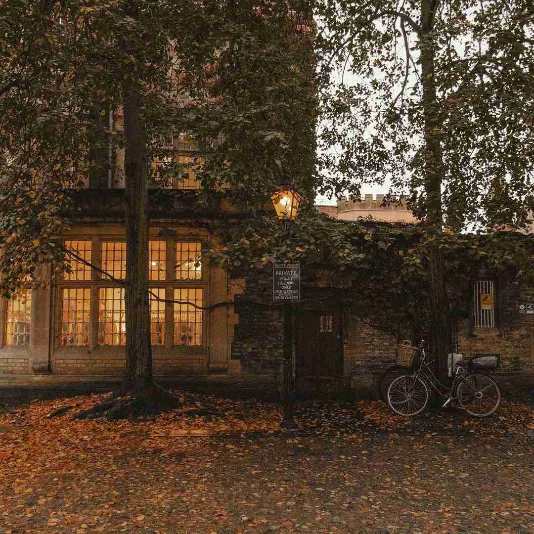 دانلود آهنگ کشیدی پر دادم من تورو از دست تنهام گذاشتی از قصد چرسی