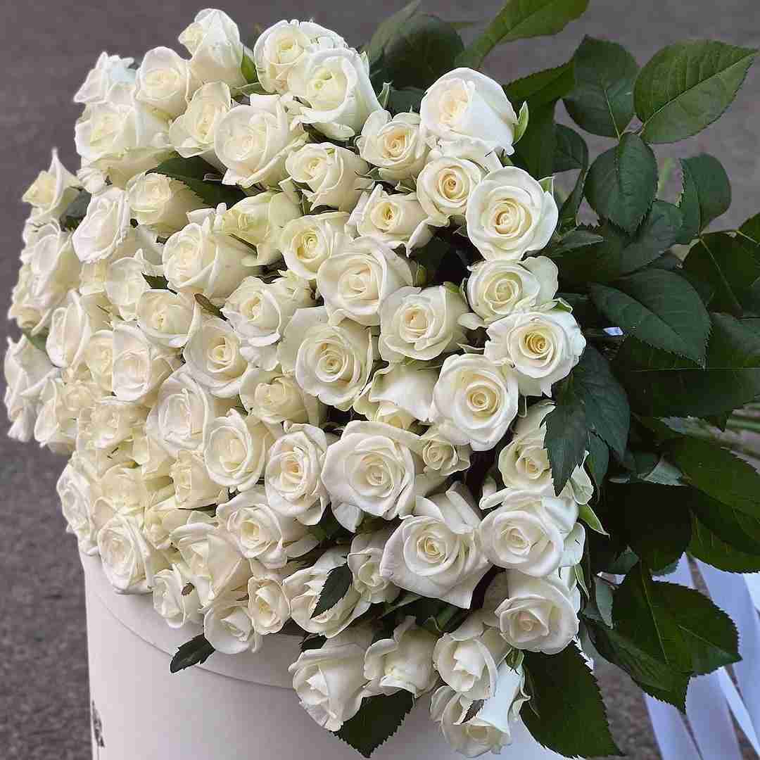 دانلود آهنگ این توهمه یا دیوونگیه زندگیم دچار بیهودگیه حسن