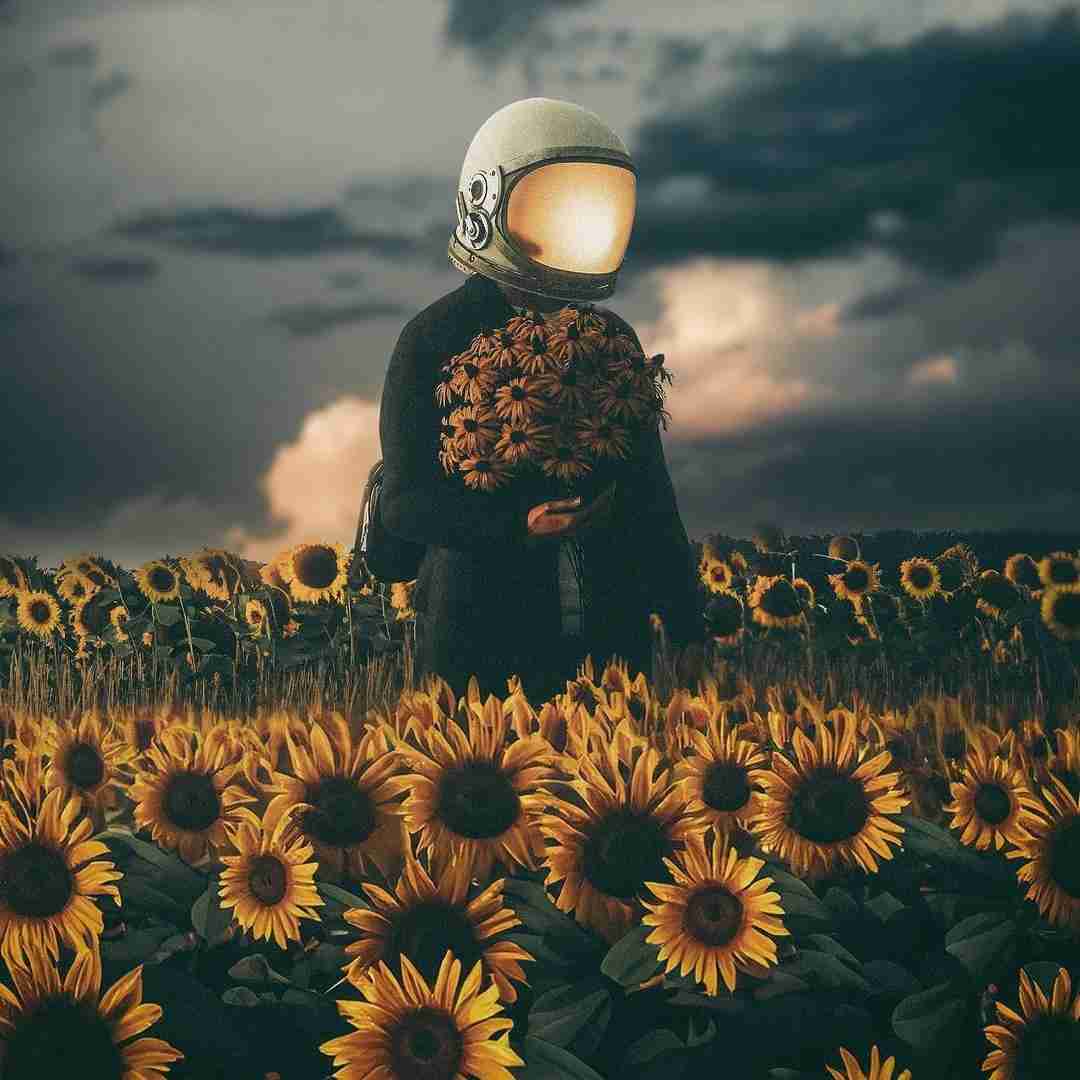 دانلود آهنگ تری سام میخاد هر جایی میگی‌ بام میاد از اینا داریم ولی ما زیاد هلیک