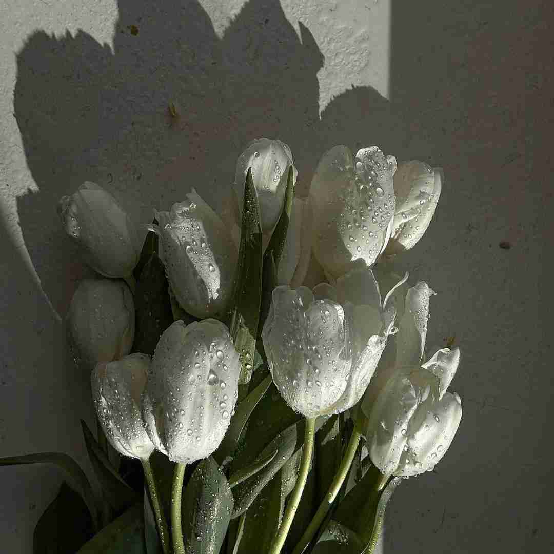 دانلود آهنگ دارم می میمیرم از ازت دارم می میمیرم ازش پوبون