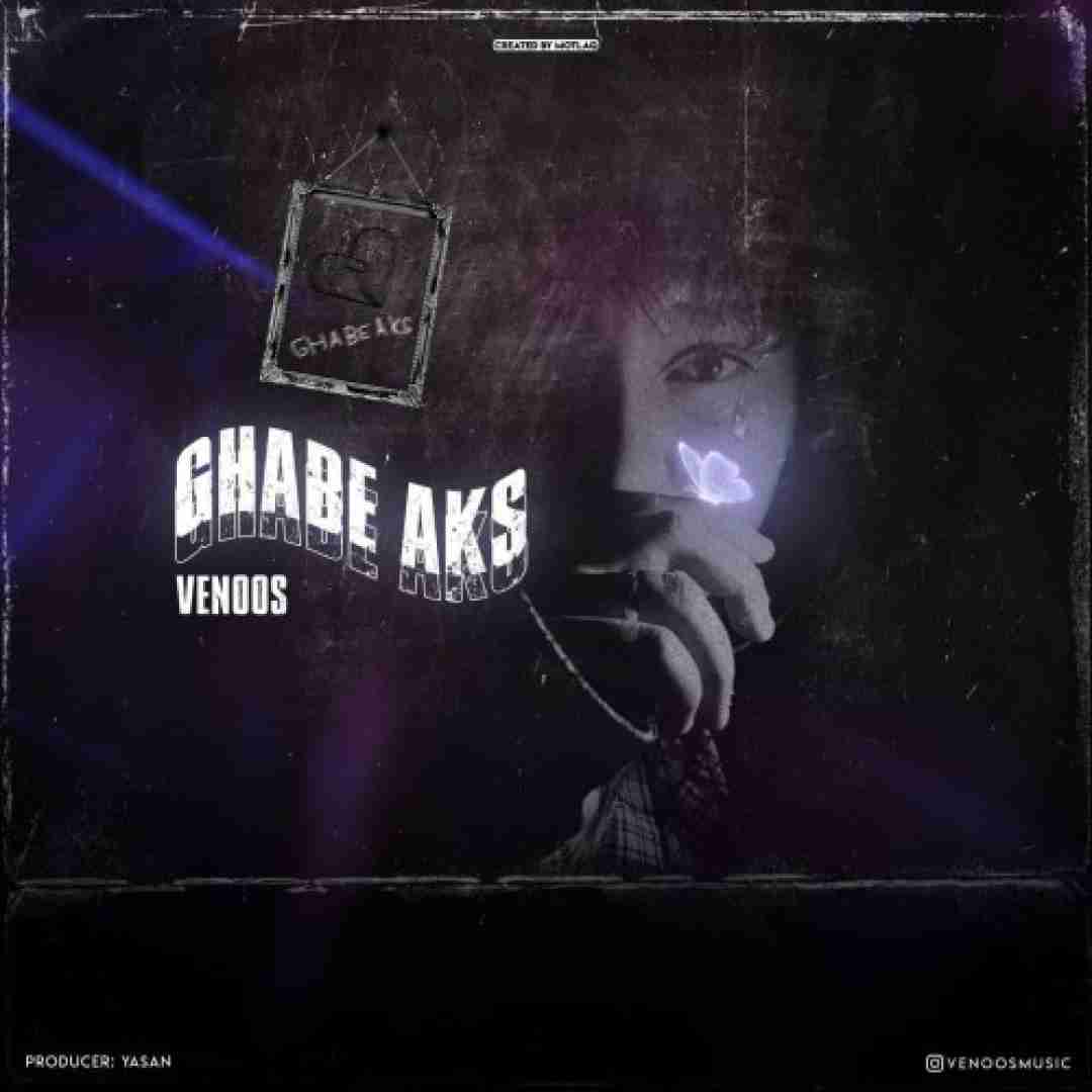 دانلود آهنگ قاب عکس ونوس