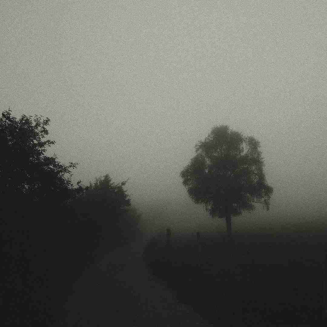 دانلود آهنگ هیچکی نفهمید حال منو تو هم برو که حال منو 