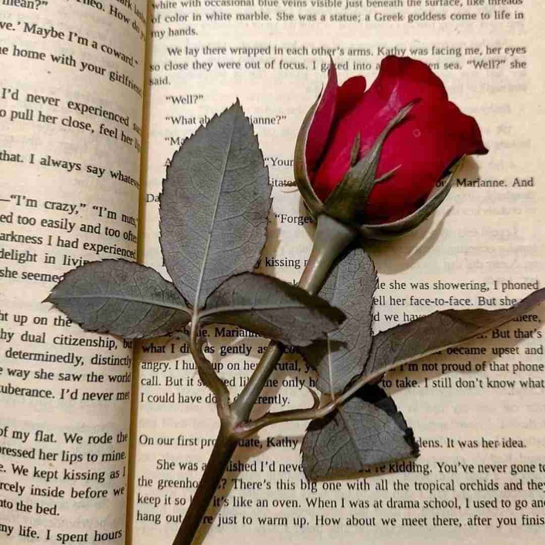 دانلود آهنگ هی دلم کو دستشو بگیر برگرده خونه دکاموند