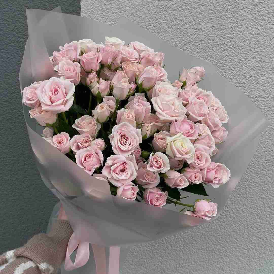 دانلود آهنگ تو تهرون ما تکیم نه مثل تو الکی عجیب بلدیم کولومپ و اشکان کاگان و راسا