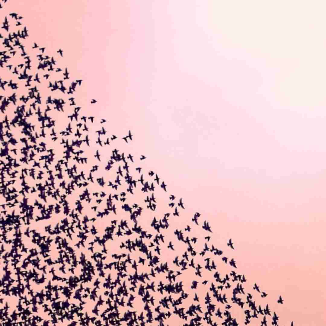 دانلود آهنگ اگه بمونی پیشم باتو خوبه حتی دیوونگیشم