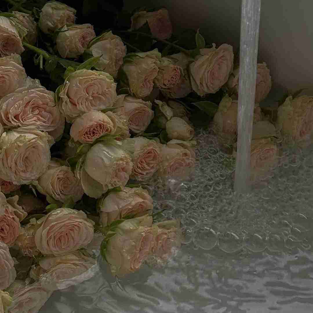 دانلود آهنگ ما با همیم حتی باشه شرایط سخت ما با همیم 