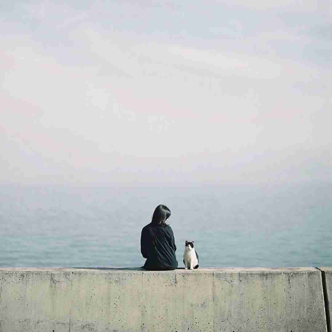 دانلود آهنگ حبیبی هنو گنگ ندیدی 