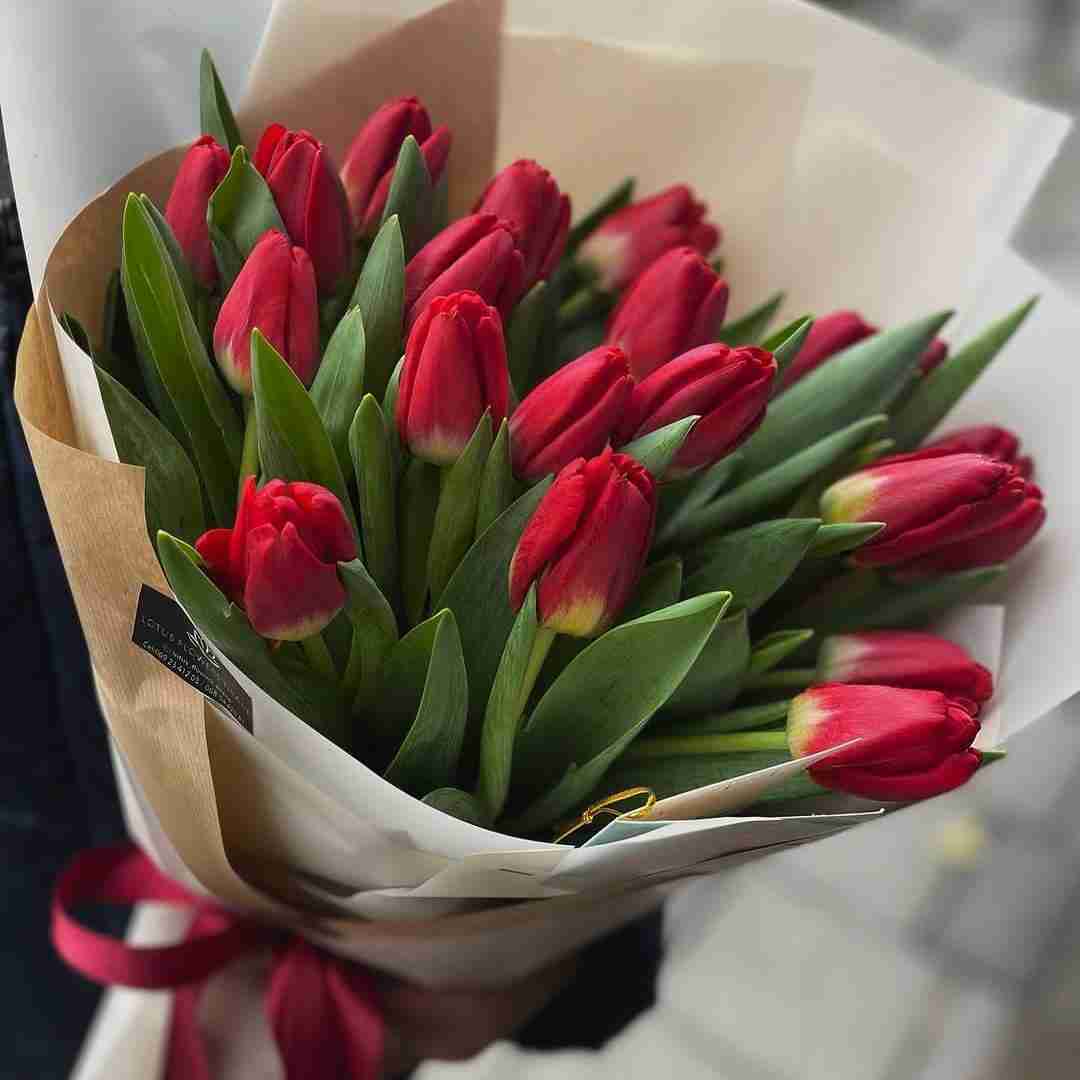 دانلود آهنگ قسمت نمیشه انگار دست تو را بگیرم