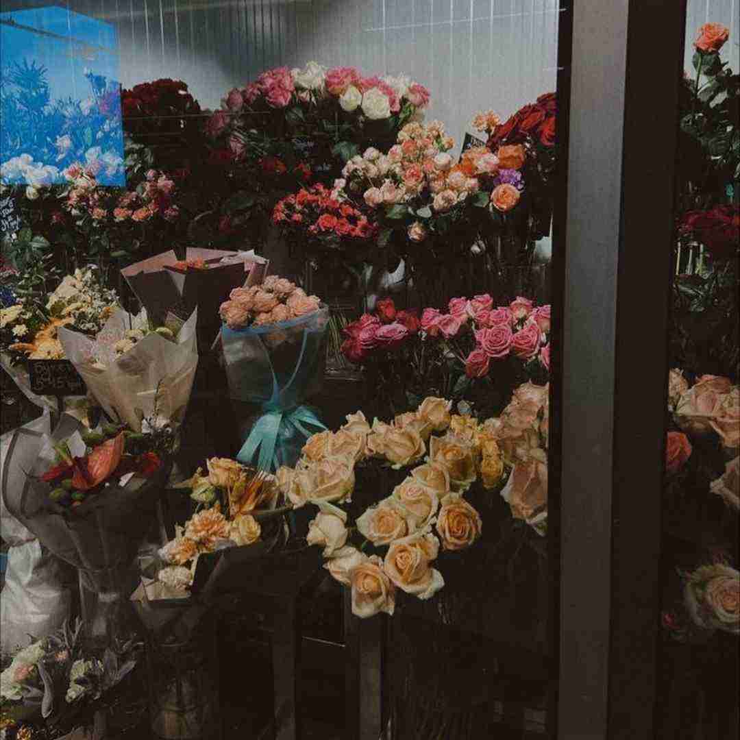 دانلود آهنگ همش دود توی اتاقمه دود همش دود همش دود 