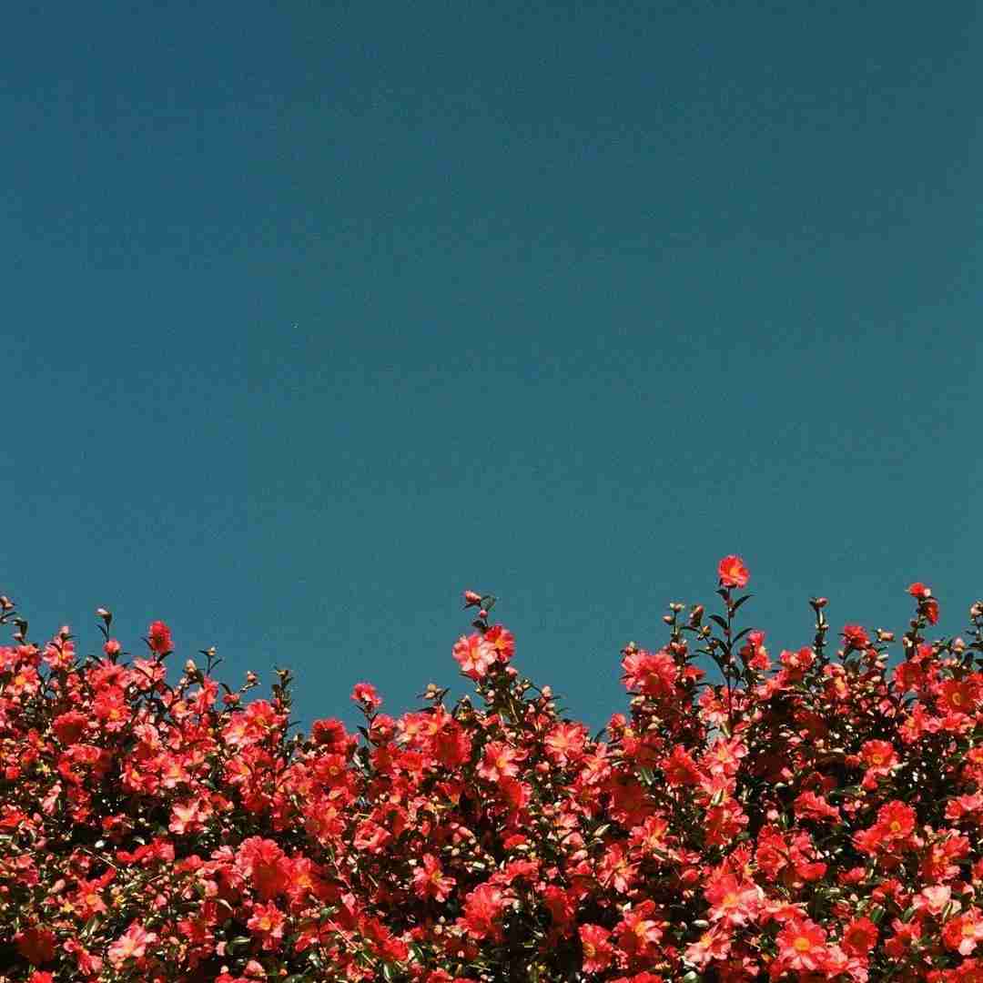 دانلود آهنگ اینجا ترپه می میرن رتا واسه من زیاده نمیده کفاف