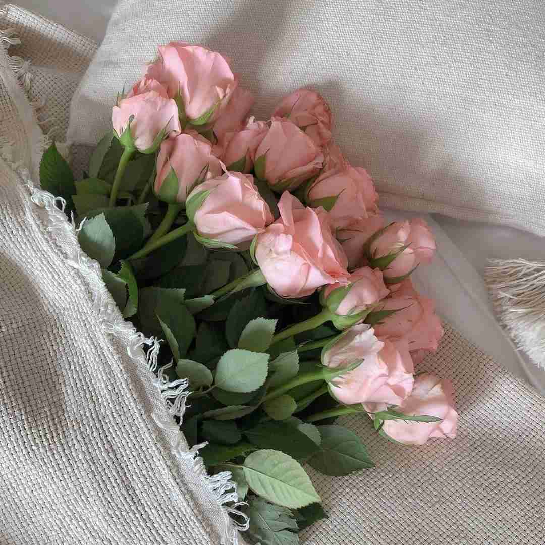 دانلود آهنگ دردت به قلب و روح و جانم زد عشقت فقط زخم زبانم زد