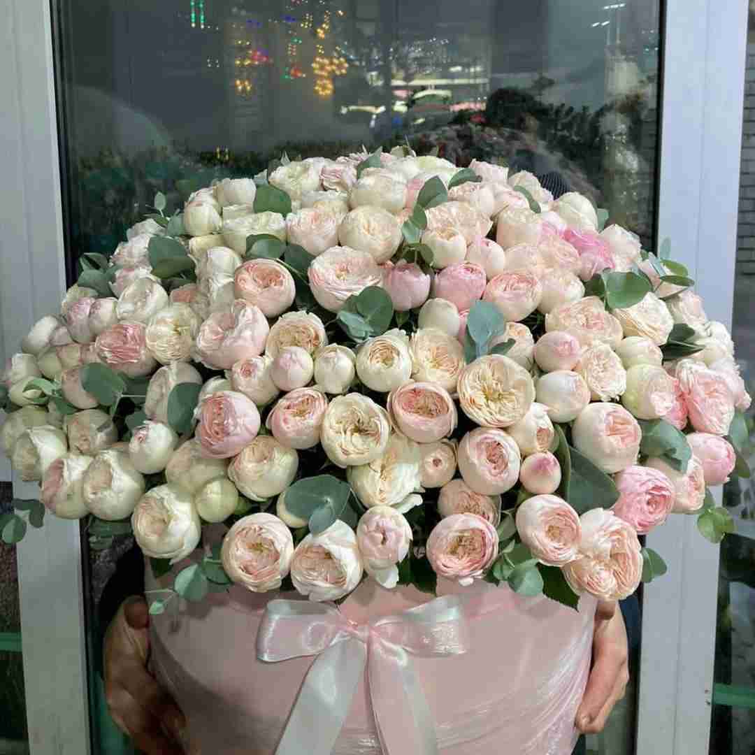 دانلود آهنگ جدید بود نبود عجیب بود نبود 