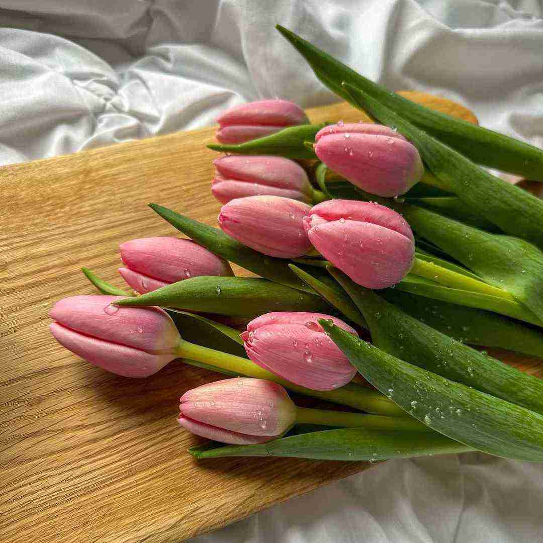 دانلود آهنگ صدای بی صدا به آسمون نگاه به یاد اون ببار یه بار بمون یه بار