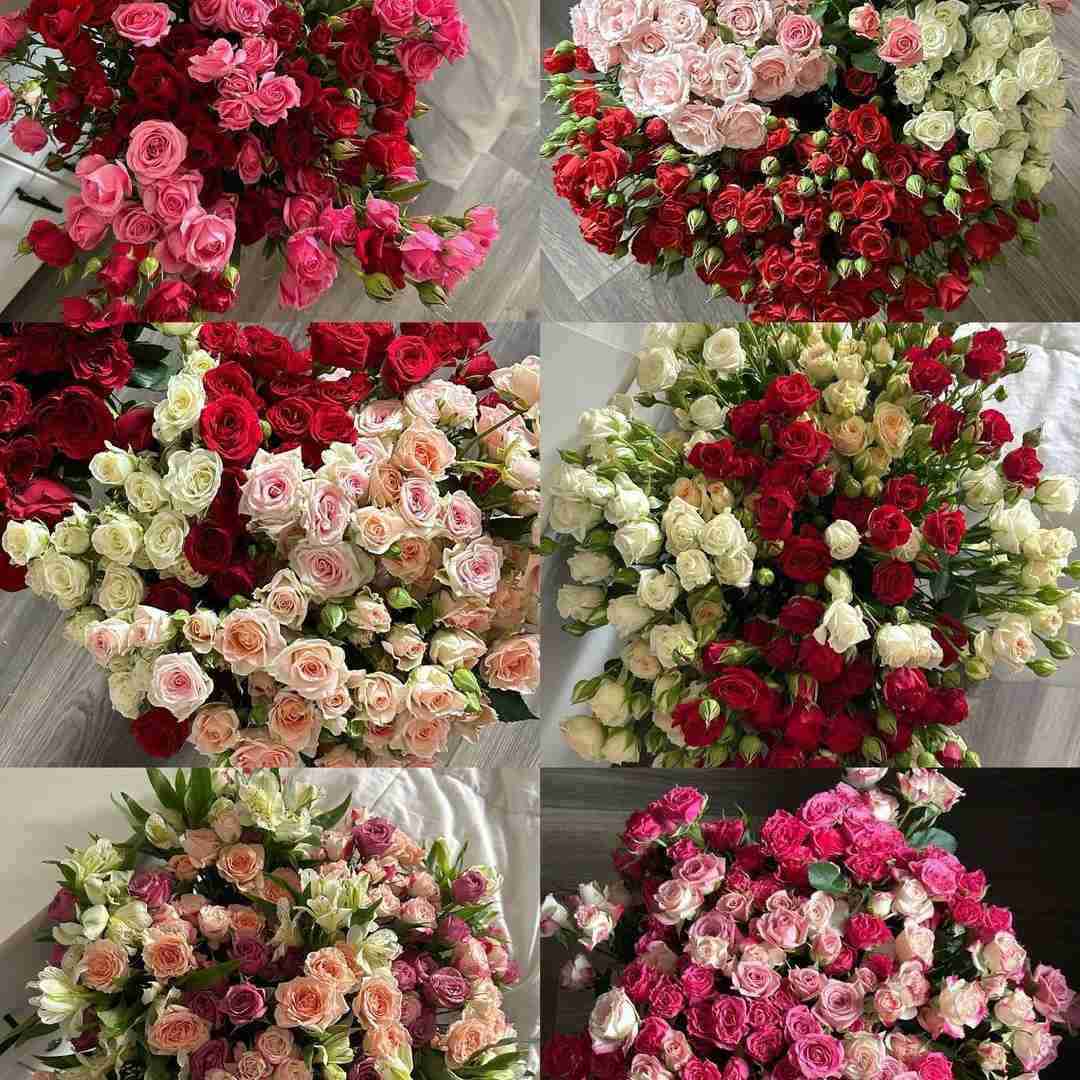 دانلود آهنگ خب دیگه شرو کم کن خودتو سرگرم کن 