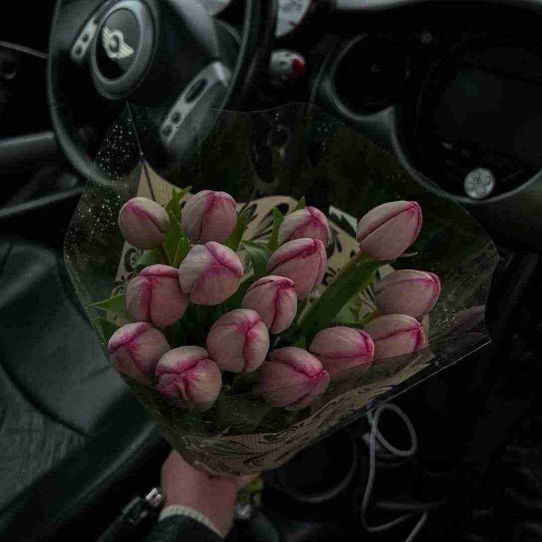 دانلود آهنگ هوا سرد گرگ و میش یه نمه چشام تر میشه من با غمت