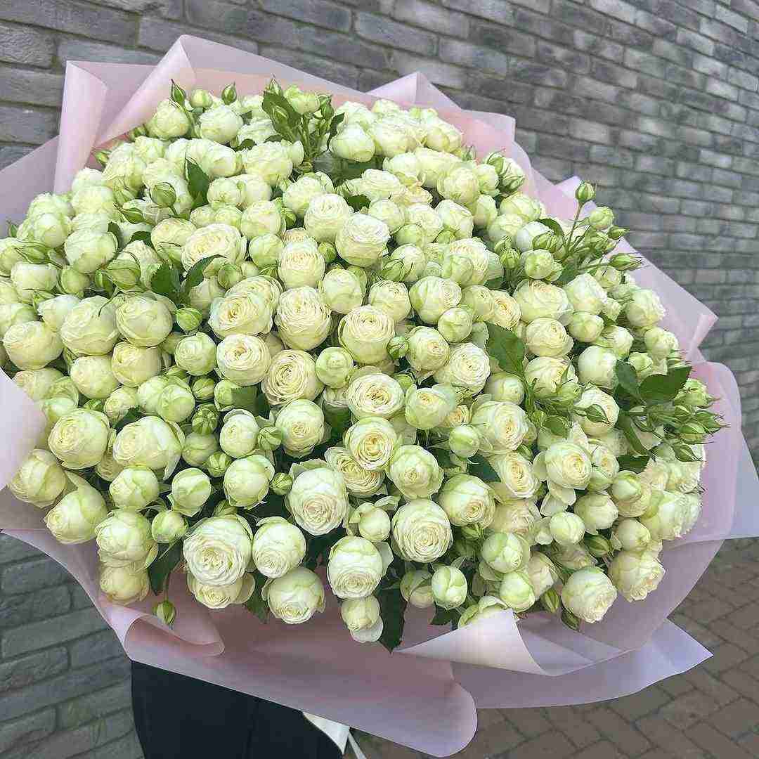 دانلود آهنگ شبیه کسی نشو نقش خودتو بازی کن