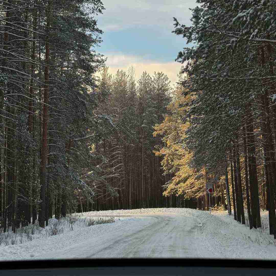 دانلود آهنگ این قلم قطره قطره اشک ریخت با منی که میدونست تهش هیچه