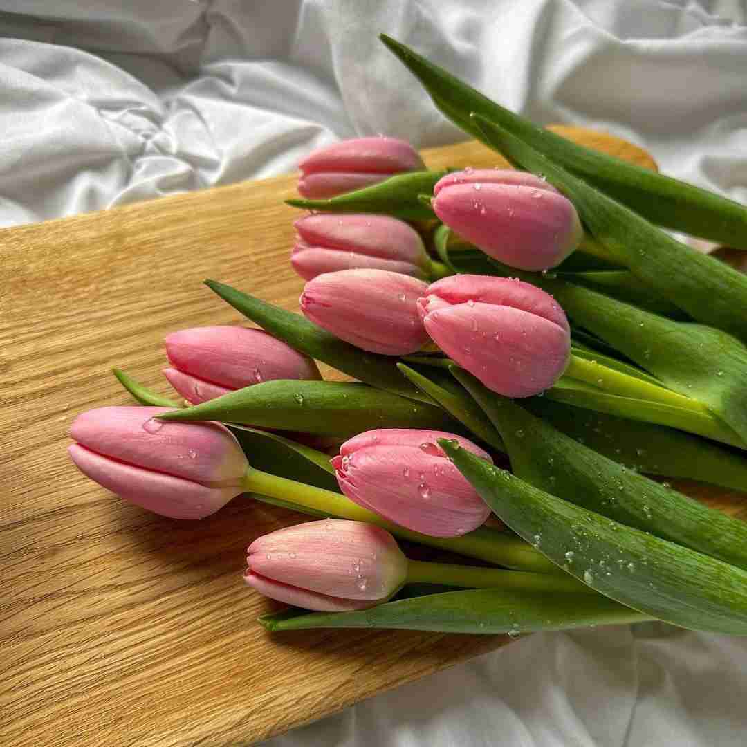 دانلود آهنگ از نو برایت مینویسم حال همه ی ما خوب است اما تو باور نکن