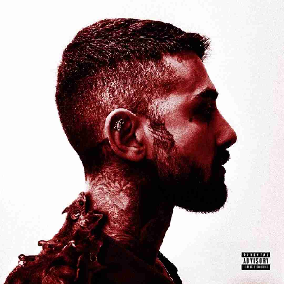 دانلود آهنگ رَتا سجاد شاهی