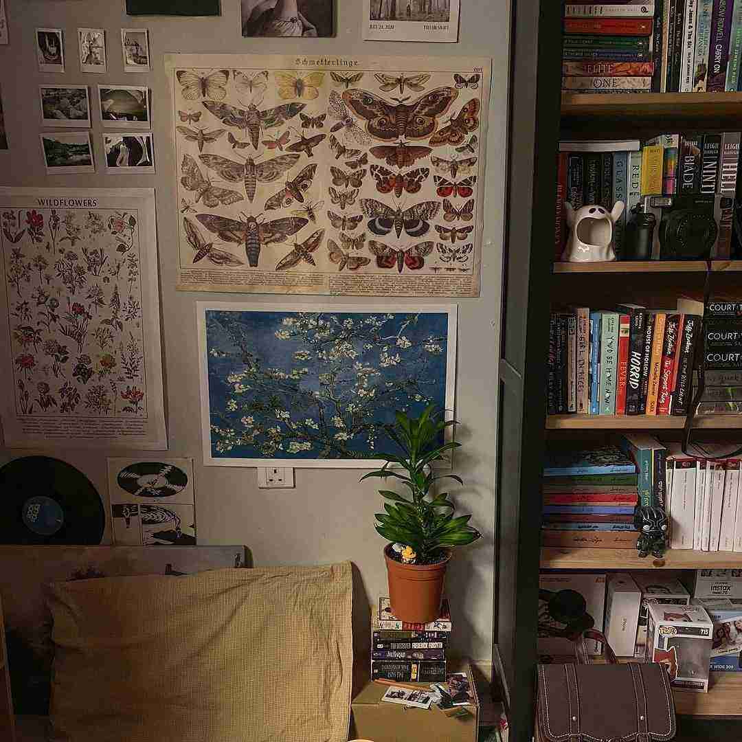 دانلود آهنگ ده ترسم بمرم جوانی نه تبییمه وه