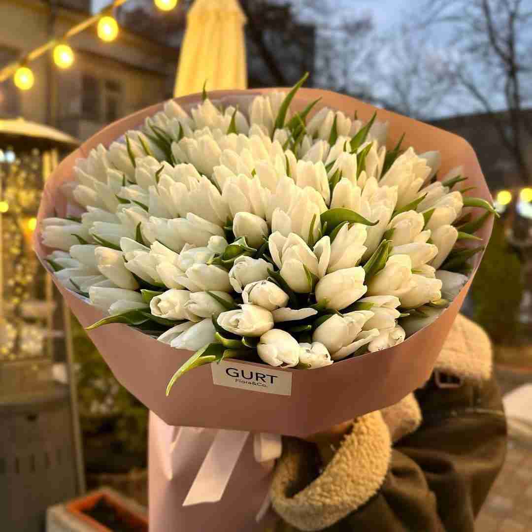 دانلود آهنگ ساقی ساقی ای ساقی باز مستمو دیوونه